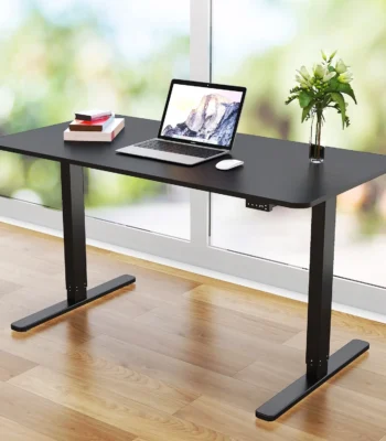 Standing electric adjustable desk
