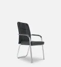 guest-chair-in-black-colour-by-durian-guest-chair-in-black-colour-by-durian-i3d5m9.jpg