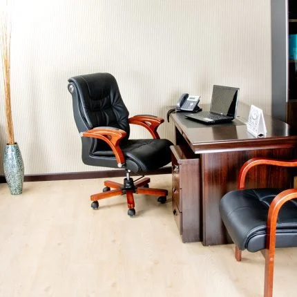 Ergonomic Executive Office Chair