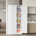2-Door Modern White Steel Storage Cabinet