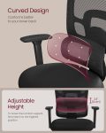 High Back Chairs