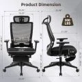 Office Chairs