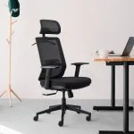 Office Chairs