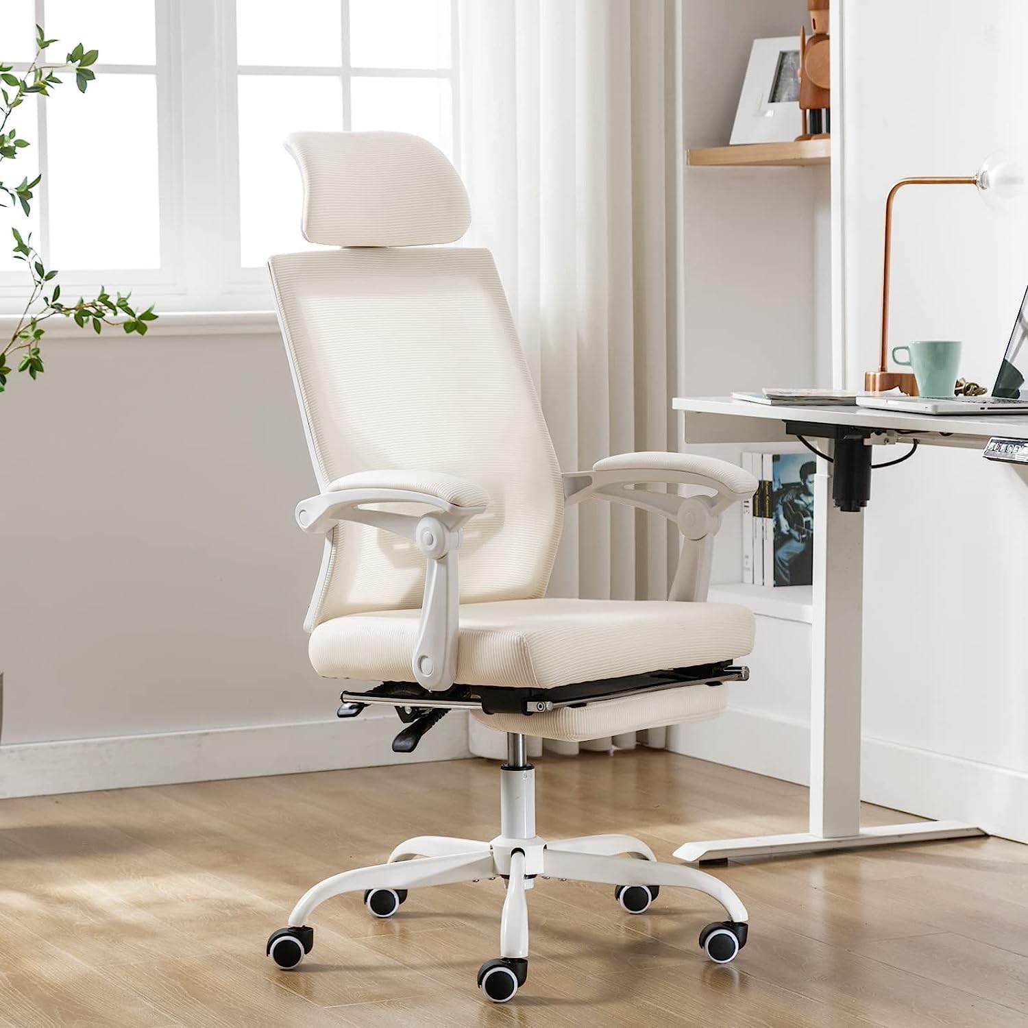 Office Chairs Office Chairs
