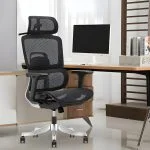 Office Chairs