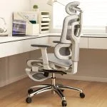 Office Chairs