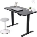 Executive Desk