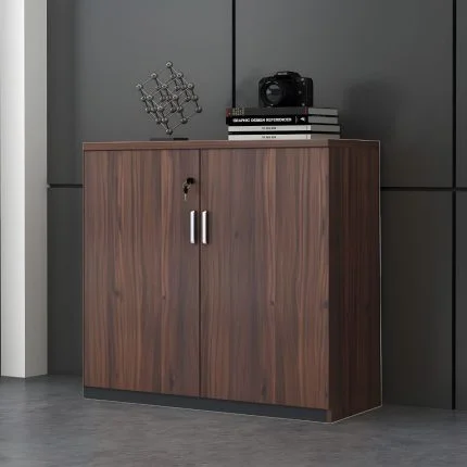 Office Cabinet
