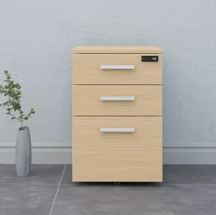 Office Cabinet