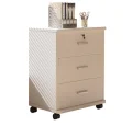 Office Cabinet