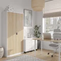Office Cabinet