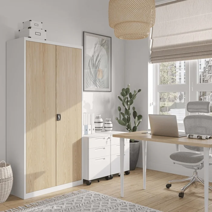 Office Cabinet