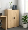 Office Cabinet