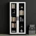 Office Cabinet