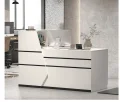 Reception Desk