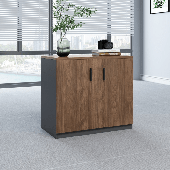 Office Cabinet