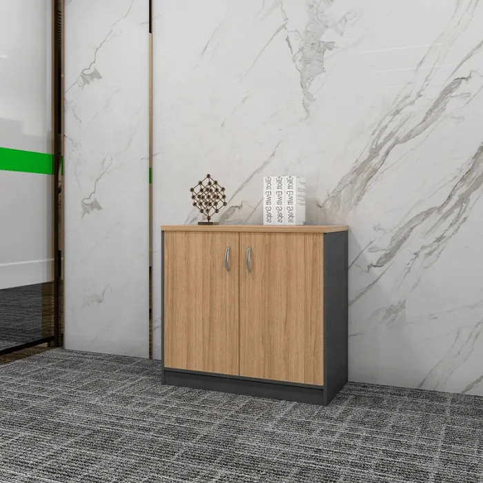 Office Cabinet
