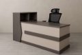 Reception Desk