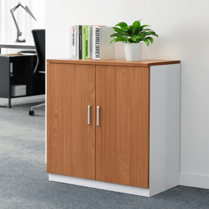 Office Cabinet