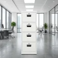 Office Cabinet