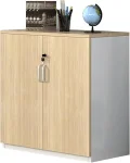 Office Cabinet