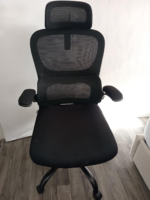 high-back mesh ergonomic office chair, high back mesh desk chair, ergonomic high back office chair, breathable mesh ergonomic chair, high back mesh swivel seat, ergonomic mesh chair with headrest, high back mesh chair lumbar support, executive high back mesh seat, adjustable high back mesh desk chair, high back mesh computer chair, ergonomic mesh task seat, high back mesh posture chair, heavy duty high back mesh chair, luxury high back mesh office chair, high back mesh director chair, posture support mesh desk seat, high back mesh chair with armrests, commercial high back mesh chair, ergonomic high back swivel chair, premium high back mesh chair