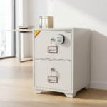 Diplomat fireproof 2-drawer filing cabinet, Diplomat fireproof cabinet 2 drawer, 2 drawer fireproof filing cabinet, Diplomat fire resistant file cabinet, lockable Diplomat fireproof cabinet, heavy duty 2 drawer fireproof cabinet, Diplomat office safe cabinet 2 drawer, fire resistant document safe cabinet, 2 drawer fireproof document storage, Diplomat fire safe filing cabinet, executive 2 drawer fireproof file cabinet, Diplomat dual lock fireproof cabinet, 2 drawer fireproof file storage, commercial fireproof filing cabinet 2 drawer, Diplomat steel fireproof cabinet, heavy duty document fire safe cabinet, 2 drawer office fire protection cabinet, Diplomat document safe 2 drawer, fireproof file cabinet with key lock, office fireproof safe 2 drawer