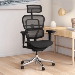 full mesh orthopedic office seat, breathable mesh orthopedic chair, high back full mesh office chair, orthopedic posture support seat, ergonomic mesh swivel chair, lumbar support full mesh desk chair, adjustable headrest mesh seat, orthopedic back pain office chair, ergonomic mesh desk seat, heavy duty full mesh chair, orthopedic mesh computer chair, ventilated mesh task seat, spinal alignment orthopedic seat, ergonomic full mesh chair with armrests, full mesh executive office chair, comfortable orthopedic work chair, ergonomic home office mesh seat, breathable desk chair for back pain, posture correcting mesh office seat, premium full mesh ergonomic chair